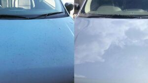Read more about the article Ford Bonnet Paint Correction – What’s the difference??
