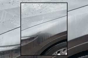 Read more about the article CX-5 Ceramic Coated